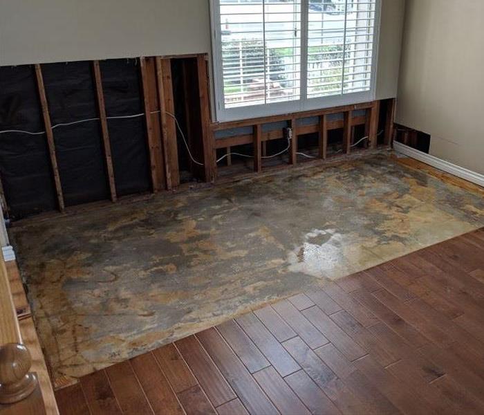 Damaged floors from water 