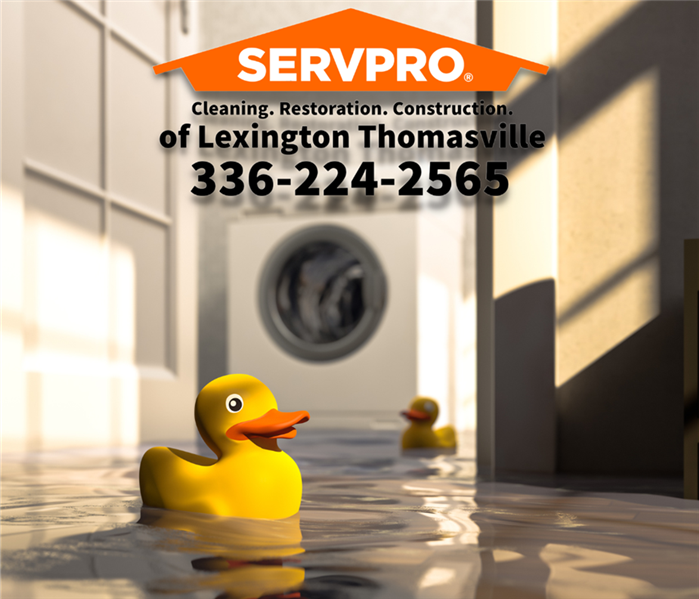 Washing machine with water overflowing into floor. Rubber Ducks floating in water. SERVPRO of Lexington/Thomasville Logo 